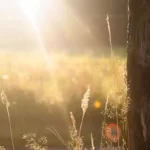 Easy Effective Love Spells