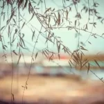 Love Spells Without Candles