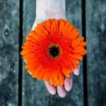 Love Spells For Beginners