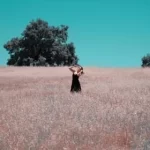Social Media Effective Love Spells Caster