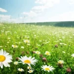 Spiritual Love Spells That Works