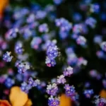 Stories Of Love Spells Working