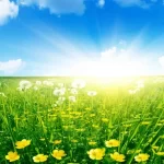 Straightforward Love Spells