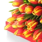Unconditional Results With Powerful Love Spells