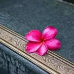 Witchcraft Love Spells Really Work