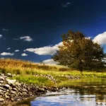 Love Magic Spell | Black magic spells love | Love Magic in hawaii | Magic for love | White magic love spell