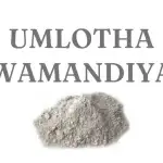 Holy Ash (Umlotha)