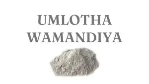Holy Ash (Umlotha)