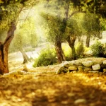 Love Spells To Say