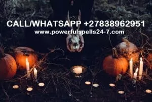 Traditional-healer-south africa-0838962951