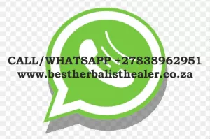 Traditional-healer-south africa-0838962951