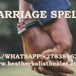 Real Spell Caster in South Africa