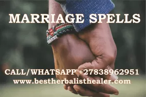 Traditional-healer-south africa-0838962951