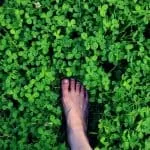 BANISHING SPELLS WICCAN