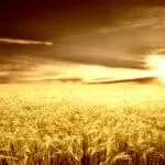 Return To Sender Spell