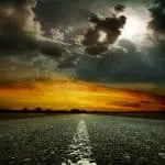 Traditional Healers in Soweto