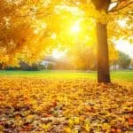 Traditional Healer on Muvhango