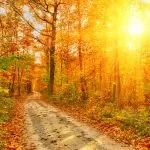 Free Psychic Reading on Whatsapp