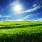 A Traditional Healer in Germiston