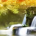 Traditional Healer Zimbabwe