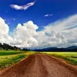 A Strong Traditional Healer