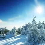 Traditional Healer and Sangoma