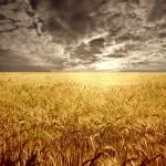 Money Spells in Johannesburg