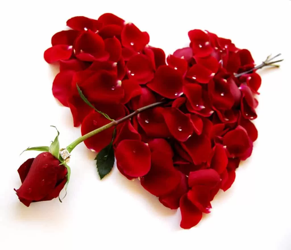 Can i use holy ash for love? | Holy ash for lost lover | Love spells | Holy ash