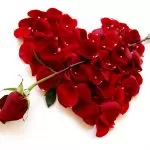 Can i use holy ash for love? | Holy ash for lost lover | Love spells | Holy ash