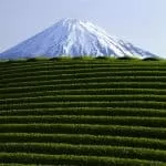 Love Spells in Pretoria