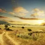 Traditional Healer of Xhosa