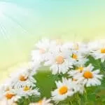 Free Love Spells That Work In Minutes Without Ingredients