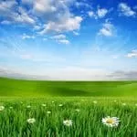 Best Sangoma and Traditional Healer