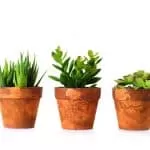 Body Swap Spell That Works Instantly