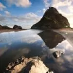 Traditional Herbalist Healer in Tembisa