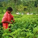 List of Real Spell Casters