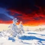 Traditional Healer Mozambique