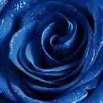 Real Spell Casters With Real Results