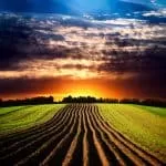 Fortune Teller Johannesburg