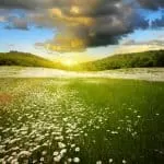 3 In 1 Spell To Find Him Catch Him Marry Him