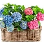 How To Deal With Horrible In Laws