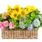 What To Do While Waiting For A Love Spell To Work