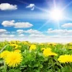 Famous Psychic In History