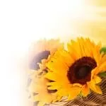 Magic Ring For Wealth