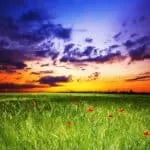 Love Spells in Sandton