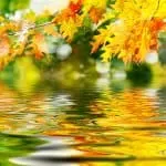 Magic Rings How Do They Work