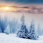 Traditional Healers Around Johannesburg