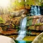 Traditional Healer en Francais