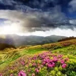 Symptoms Of Love Spell Working