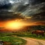 Pictures Of White Sangomas